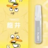 Mist X 鴨嘴獸6500口拋棄式電子煙｜冰爽水果風味 可充電設計 台灣現貨