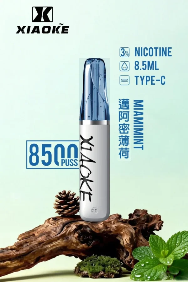 27763104a941bdf31156bc0c11499293-1024x1536.jpg XIAOKE 梟客 8500口拋棄式電子煙|3%尼古丁鹽配比 8.5ml儲油容量 Type-C充電設計 長效續航 台灣現貨