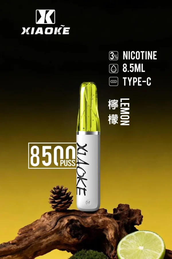 d185d7e28615e84aca893d861a0e04f4-1024x1536.jpg XIAOKE 梟客 8500口拋棄式電子煙|3%尼古丁鹽配比 8.5ml儲油容量 Type-C充電設計 長效續航 台灣現貨
